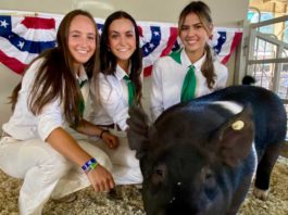 Students raise more than $1M at Oct. 5 livestock auction