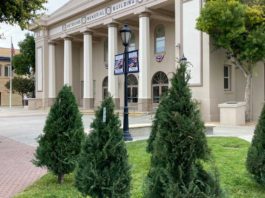 Deck downtown Hollister