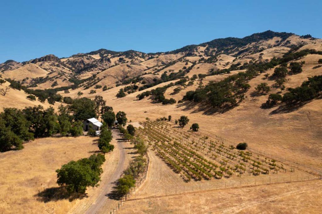 Image for display with article titled UC Santa Cruz Secures 2,400-Acre Ranch in San Benito County