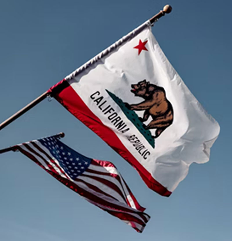 Image for display with article titled California Will Stiffen Theft Penalties in 2025