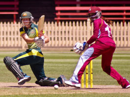 cricket, top sports in australia