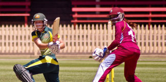 cricket, top sports in australia