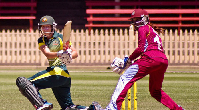 Top 10 Most Popular Sports in Australia 2024 cricket, top sports in australia