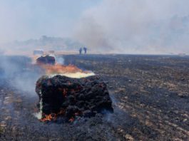 Crews put out grass fire in Hollister
