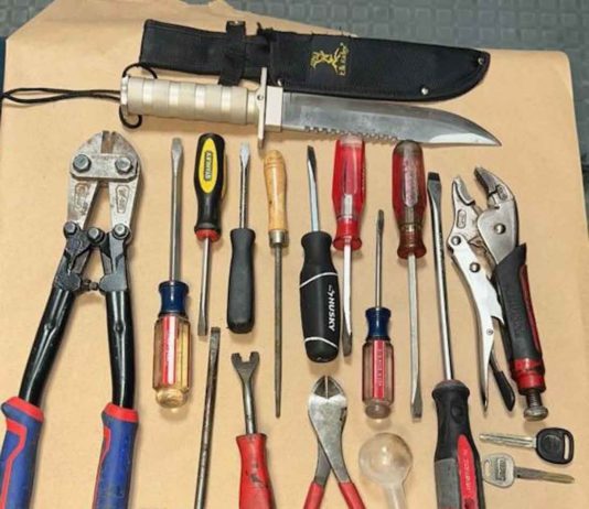 Police arrest man with stolen vehicle, burglary tools