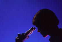 Nonapetide-1 impacts on pigmentation and cellular processes