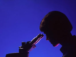 Nonapetide-1 impacts on pigmentation and cellular processes