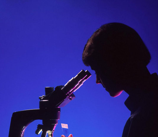 Nonapetide-1 impacts on pigmentation and cellular processes