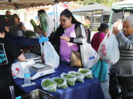 Amid fears of ICE, farmers markets see mixed impact