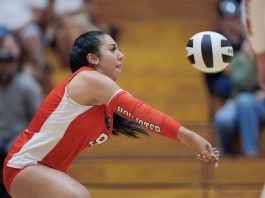 Hollister volleyball finishes with playoff win