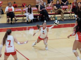 Hollister volleyball rolls again