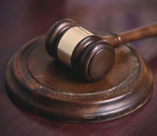 Cat declawing, book censorship among new 2026 laws