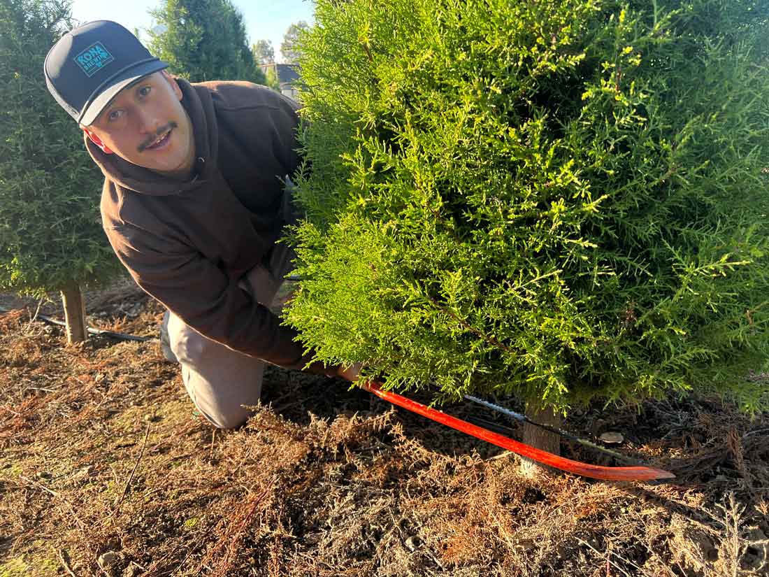 Holiday cheer begins at Bourdet’s