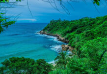 Vetting local organizations in San Benito