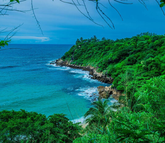 Vetting local organizations in San Benito