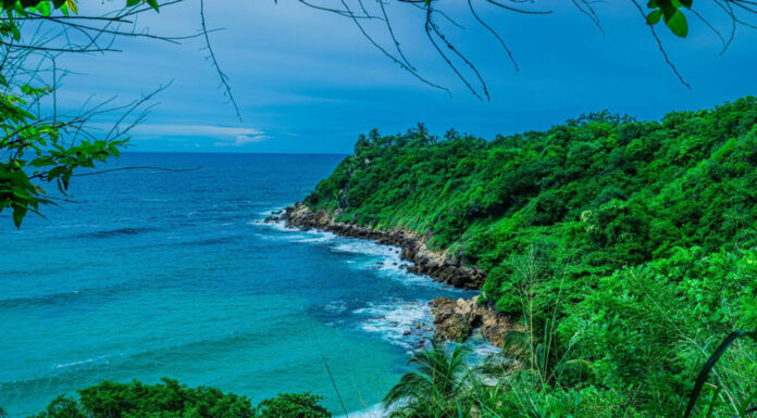 Vetting local organizations in San Benito