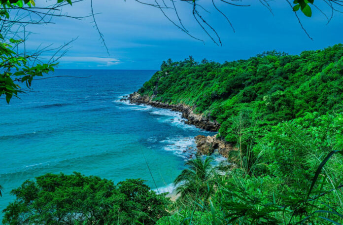 Vetting local organizations in San Benito