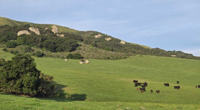 Grant helps save farmland in San Benito County