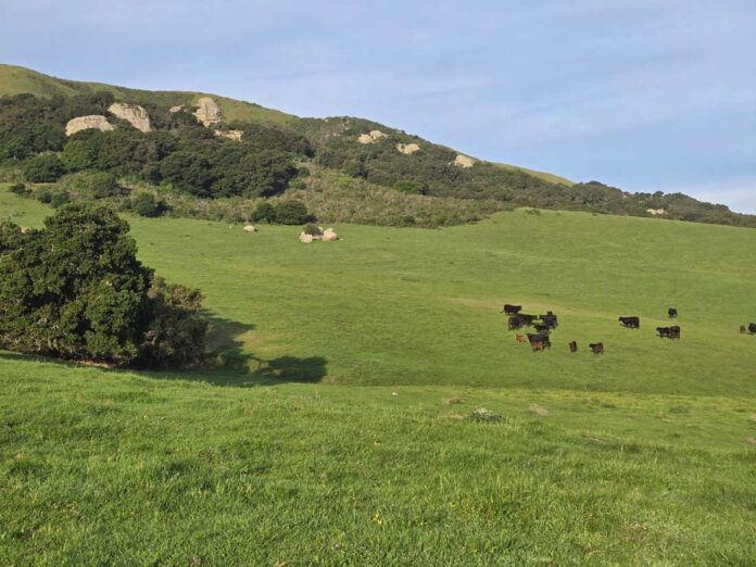 San Antonio Ranch