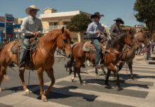Here comes the rodeo