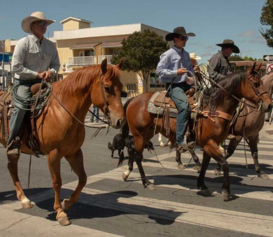 Here comes the rodeo