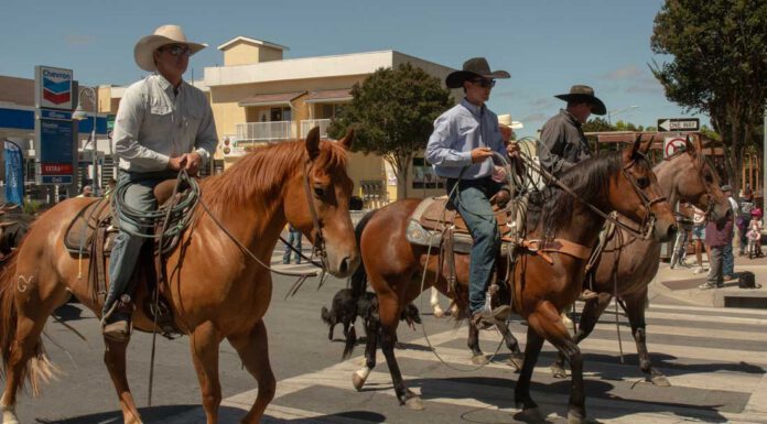 Here comes the rodeo