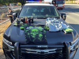 Retail theft ring suspects arrested at Hollister store