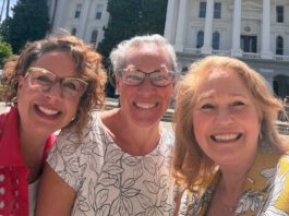 Community Solutions named District 28 Nonprofit of the Year