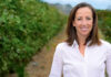 Driscoll’s names new CEO