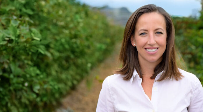Driscoll’s names new CEO