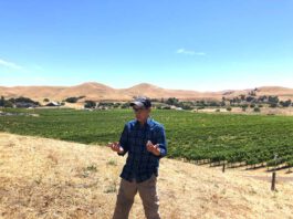 For winemaker Nat Wong, San Benito is home