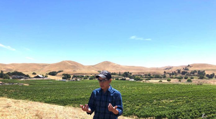 For winemaker Nat Wong, San Benito is home