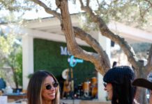 The Grove returns
