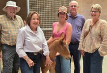 San Benito County nonprofit donates $1m to Cal Poly Animal Health Center