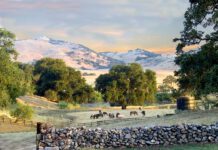 San Juan Bautista ranch earns Bird-Friendly Certification