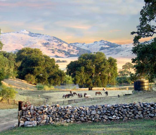 San Juan Bautista ranch earns Bird-Friendly Certification