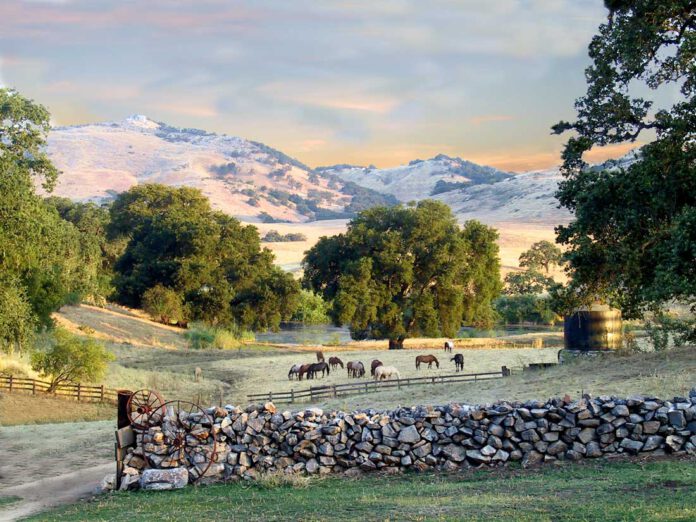 Gabilan Ranch