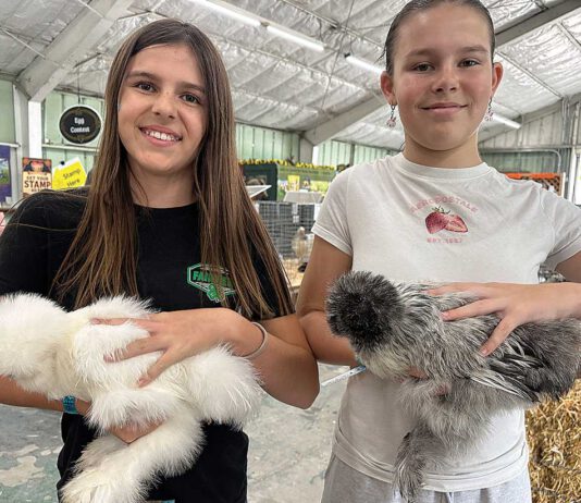 South Valley students show livestock at Santa Cruz County Fair