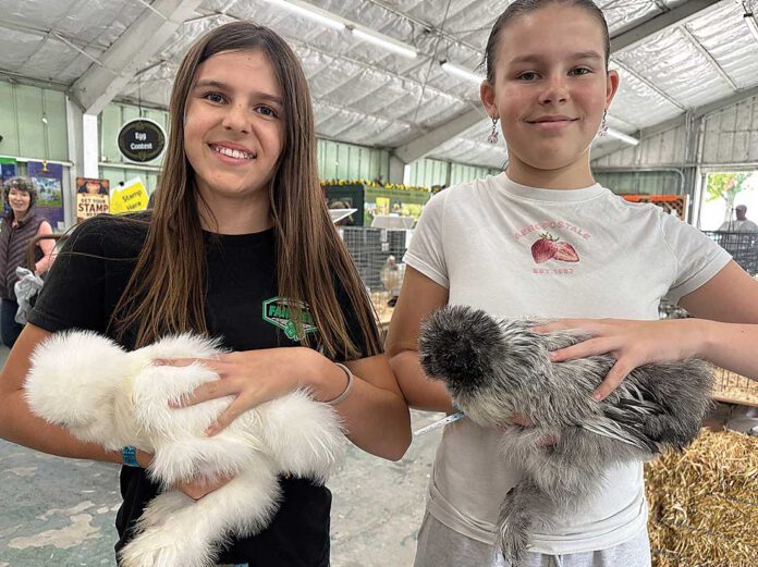 Santa Cruz County Fair