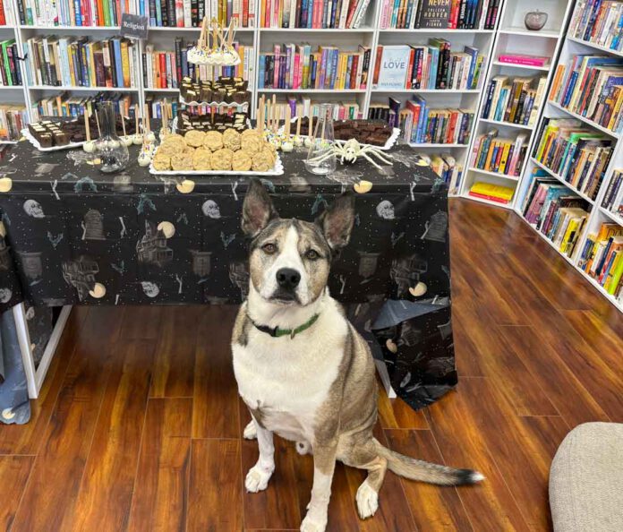 Earl's Used Books